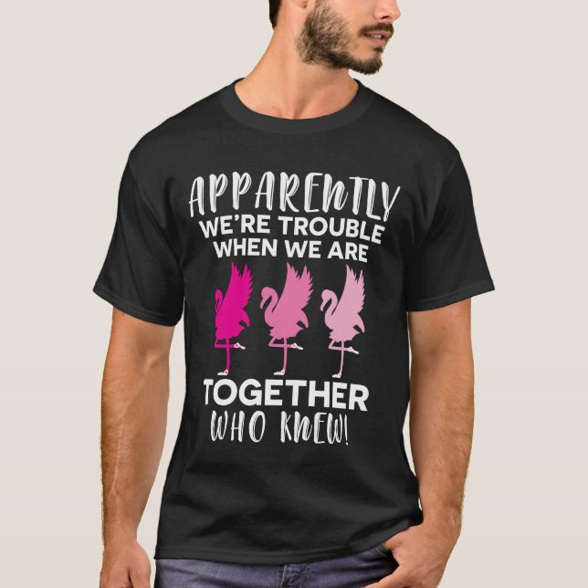 Flamingoen som synes är vi besvärar när oss t shirt (Framsida)