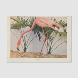 Flamingoes Bird Ephemera Decoupage-papper