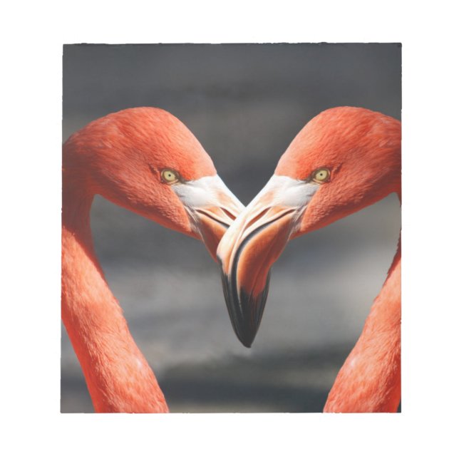 Flamingoes i Kärlek Anteckningsblock (Framsida)