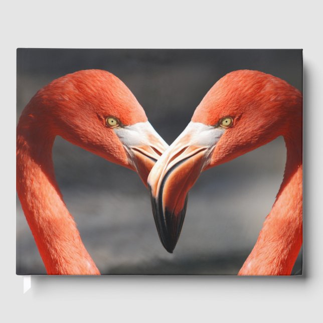 Flamingoes i Kärlek Gästböcker (Framsida)