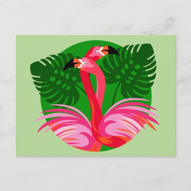 Flamingofåglar Vykort (Framsida)