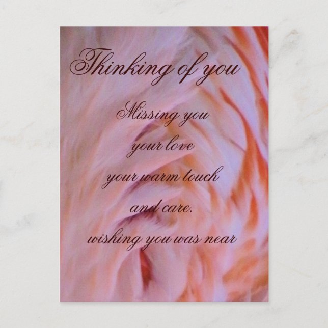 Flamingofjädrar_ Vykort (Framsida)