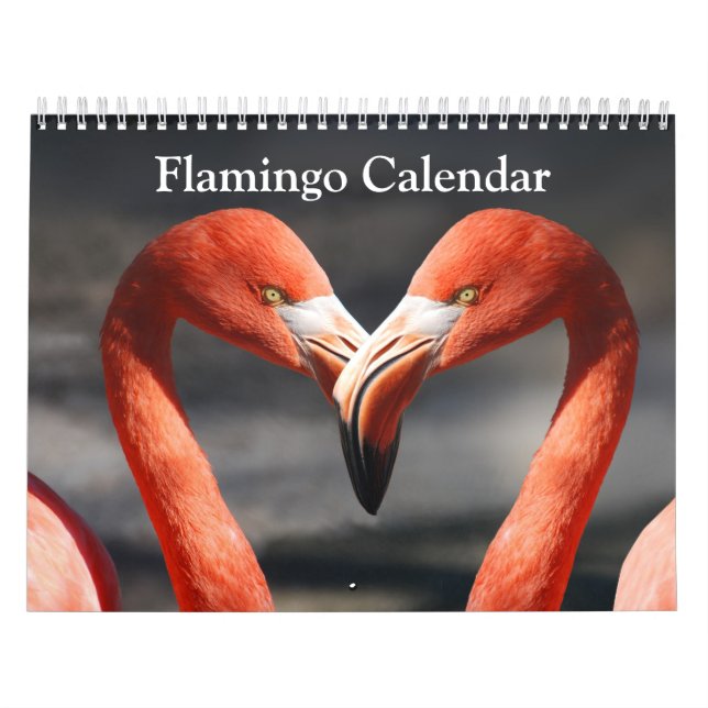 Flamingokalender 2017 kalender (Omslag)