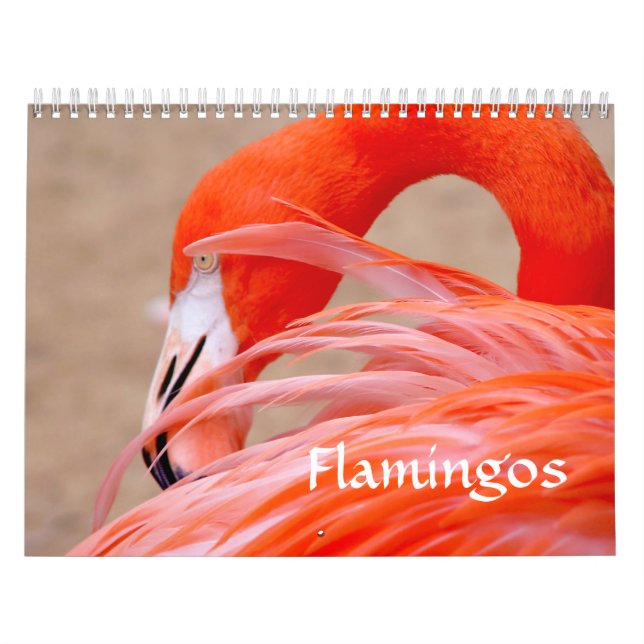 Flamingokalender Kalender (Omslag)