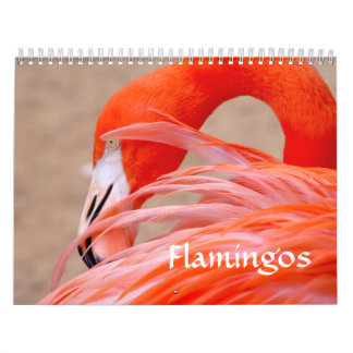 Flamingokalender Kalender