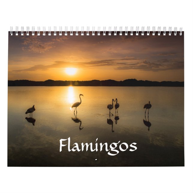 Flamingokalender Kalender (Omslag)