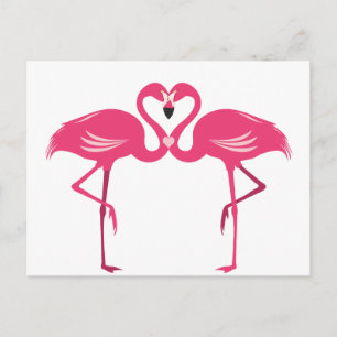Flamingokärlek Vykort
