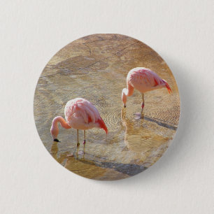 Flamingomorgon Knapp