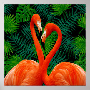 Flamingoparadisaffisch Poster