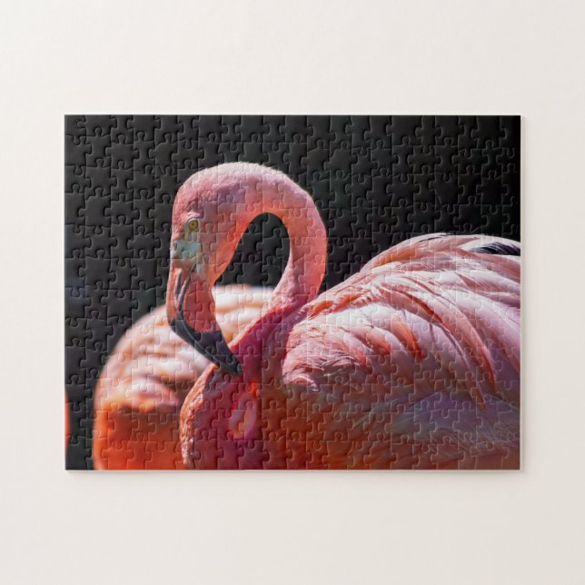 Flamingopussel Pussel (Horisontell)