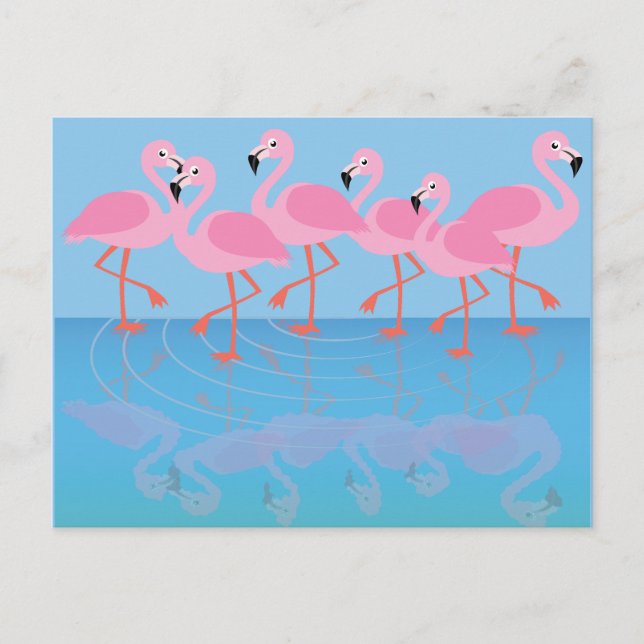 Flamingornas flamboyans vykort (Framsida)
