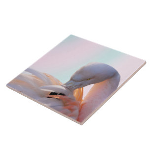 FlamingorosaMint Kakelplatta