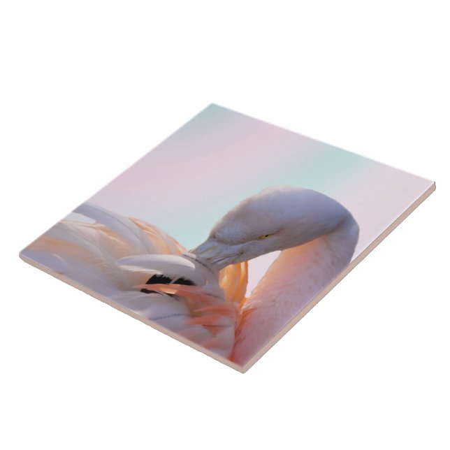 FlamingorosaMint Kakelplatta (Sidan)