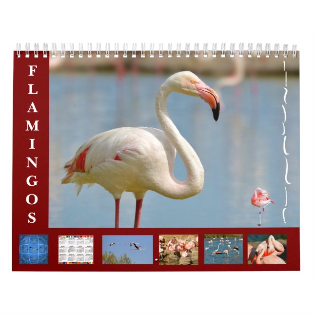 Flamingos 12-månaderskalender kalender (Omslag)
