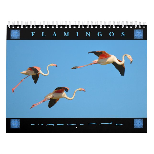 Flamingos 12-månaderskalender kalender (Omslag)