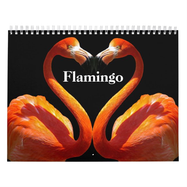Flamingos 2025 kalender (Omslag)