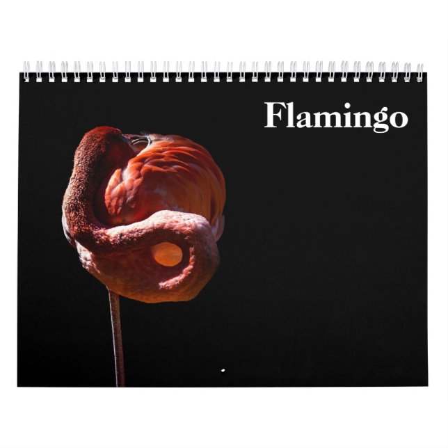 Flamingos 2027 kalender (Omslag)