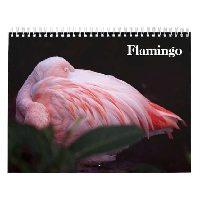 Flamingos 2027 kalender (Omslag)