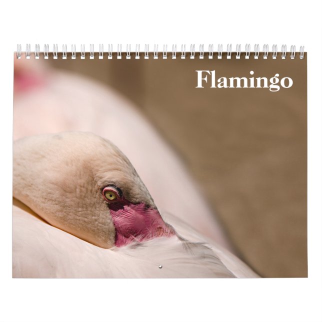 Flamingos 2027 kalender (Omslag)