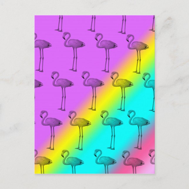 Flamingos 2 vykort (Framsida)