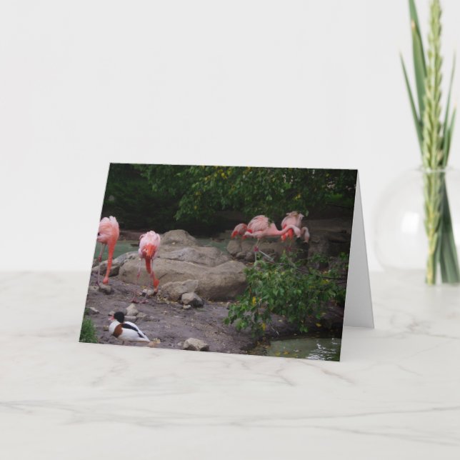 "Flamingos & Anka" - tackkort Kort (Framsida)