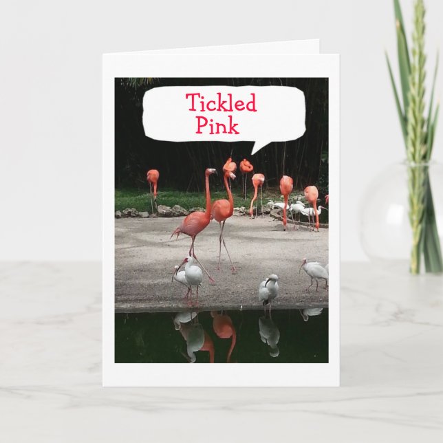 FLAMINGOS ÄR "TICKLED ROSA" DET ÄR DIN BIRTHDAG KORT (Framsida)