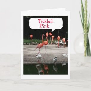 FLAMINGOS ÄR "TICKLED ROSA" DET ÄR DIN BIRTHDAG KORT