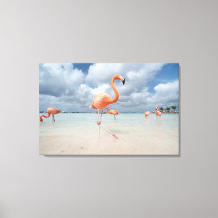 Flamingos Beach Aruba Canvastryck