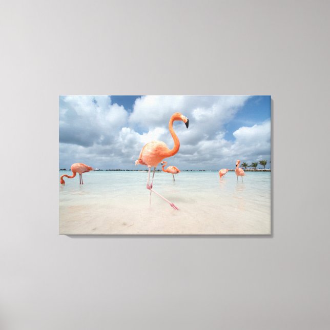 Flamingos Beach Aruba Canvastryck (Framsida)