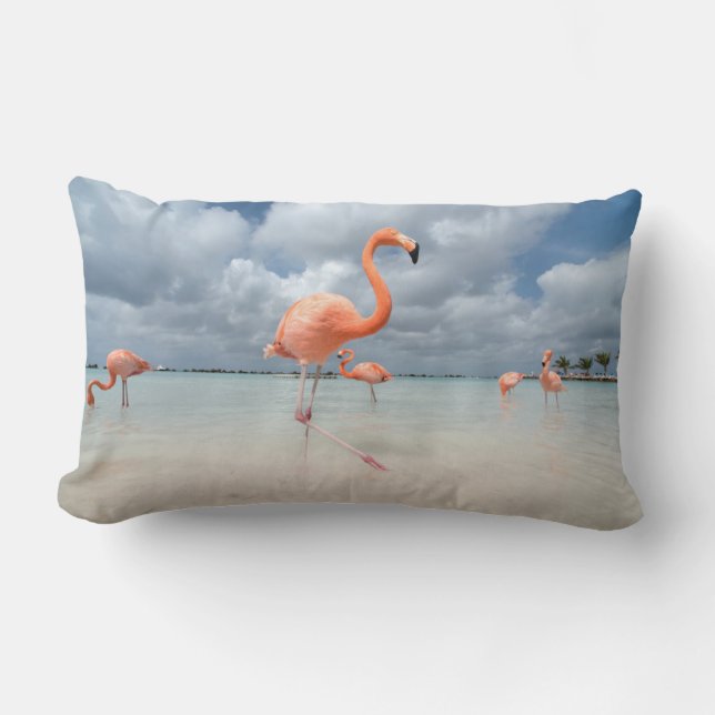 Flamingos Beach Aruba Lumbarkudde (Framsida)