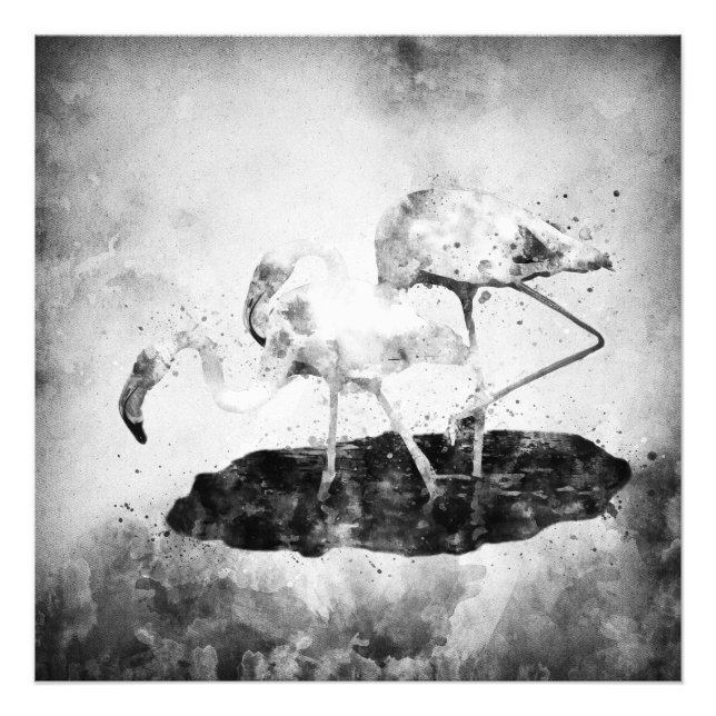 Flamingos Black and White Watercolor Fototryck (Framsidan)