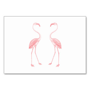 Flamingos Bordsnummer