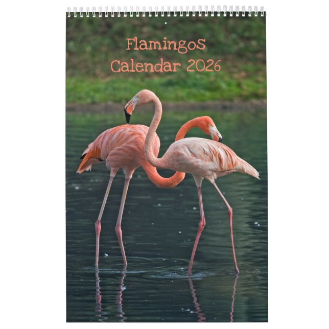 Flamingos Calendar Kalender (Omslag)