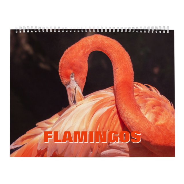 Flamingos Calendar Kalender (Omslag)