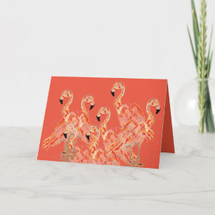Flamingos: Flamingos Kort