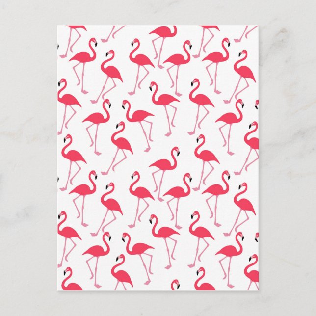 flamingos Flimingos Vykort (Framsida)