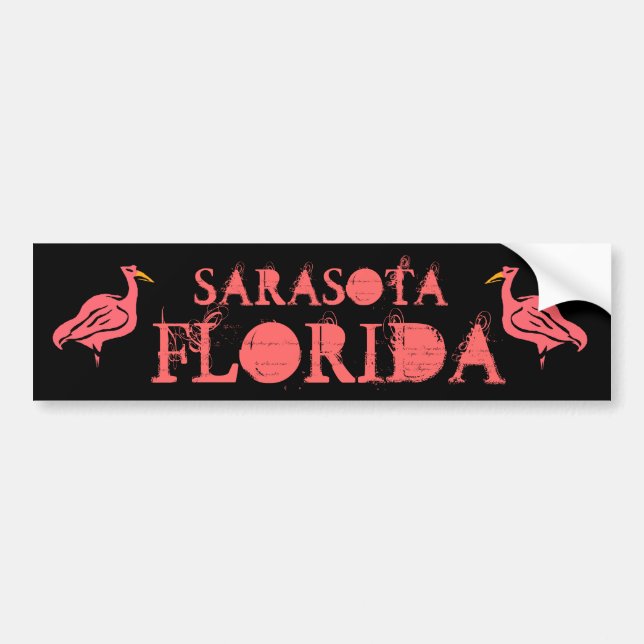 FLAMINGOS FÖR KORALLROSAABSTRAKT! BILDEKAL (Framsidan)