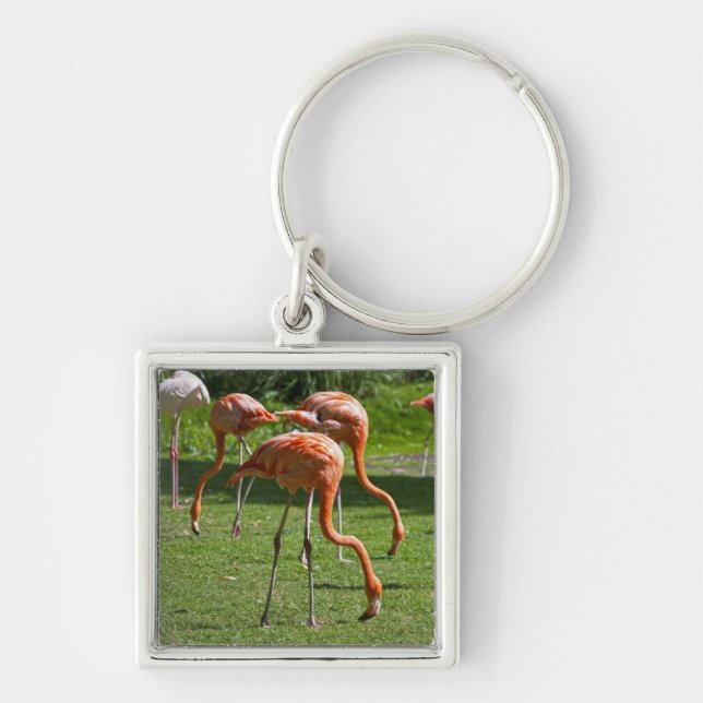 Flamingos Fyrkantig Silverfärgad Nyckelring (Framsidan)