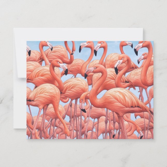 Flamingos, Grattiskort (Framsida)