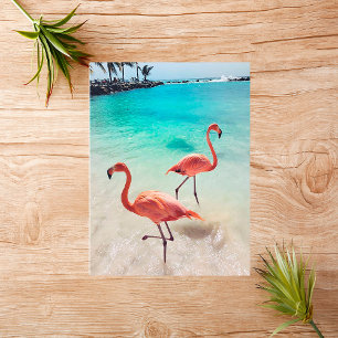 Flamingos Greeting Card Kort