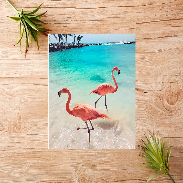 Flamingos Greeting Card Kort (Skapare uppladdad)