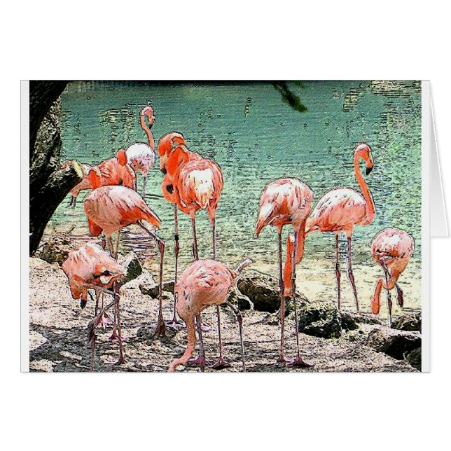 Flamingos Hälsningskort (Framsidan Horizontal)