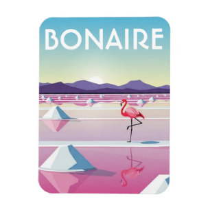 Flamingos i Bonaire Holländska Karibien Magnet