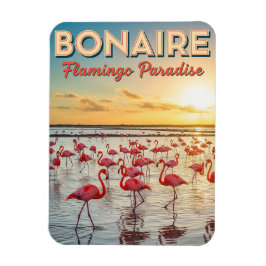 Flamingos i Bonaire Holländska Karibien Magnet