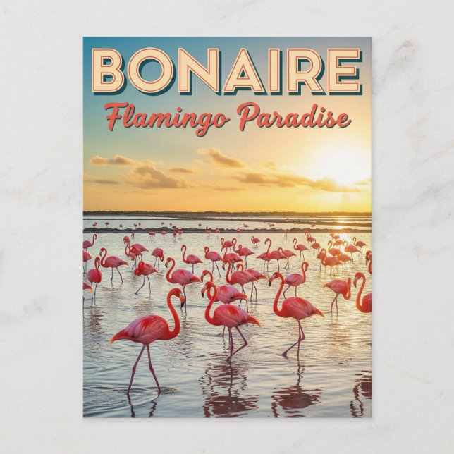 Flamingos i Bonaire Nederländska karibien Vykort (Framsida)