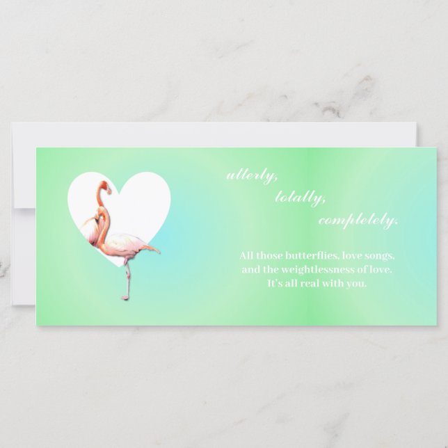 Flamingos i kärlek med grönt av mynning som bakgru (Baksida)