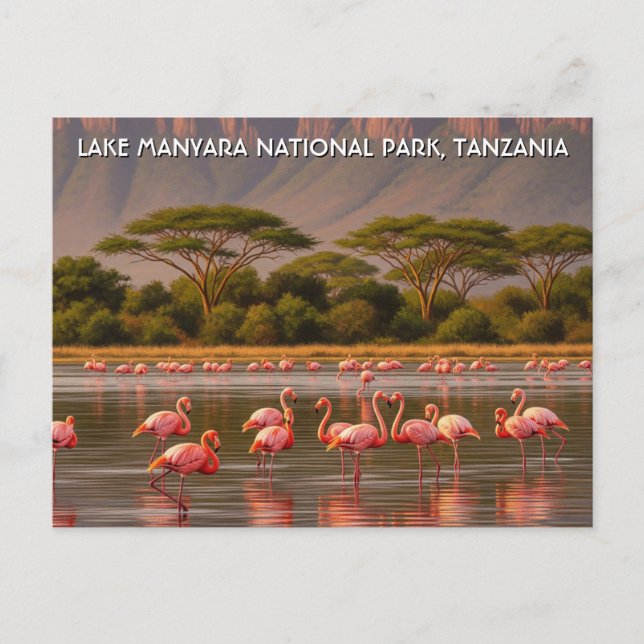 Flamingos i nationalparken Tanzania Sjö Manyara Vykort (Framsida)