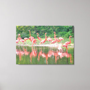 Flamingos i Row vid Sjö, vilda naturfåglar Canvastryck