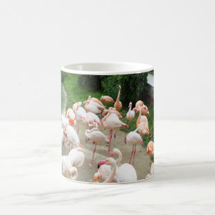Flamingos Kaffemugg