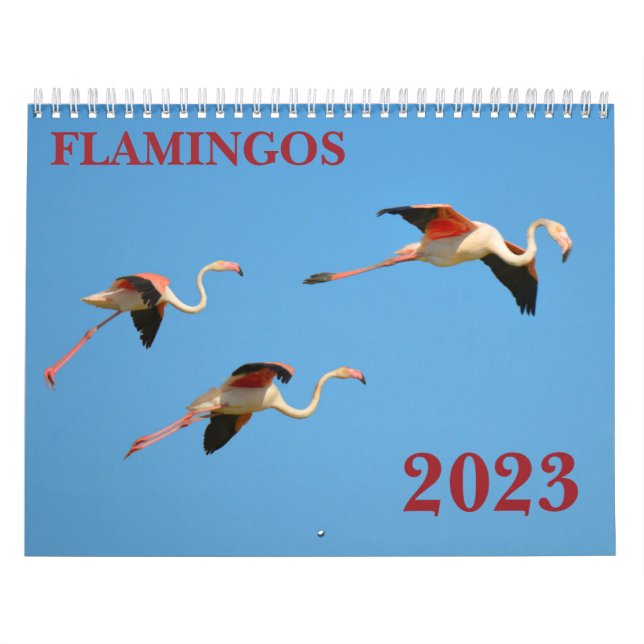 Flamingos-kalender Kalender (Omslag)